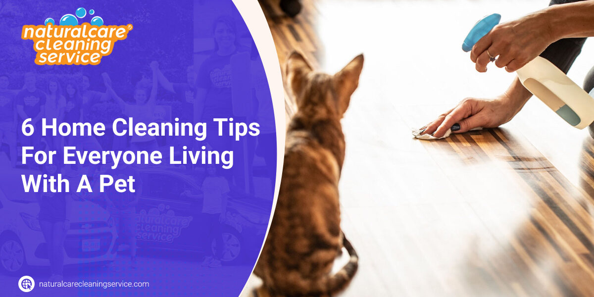 6 Home Cleaning Tips For Everyone Living With A Pet