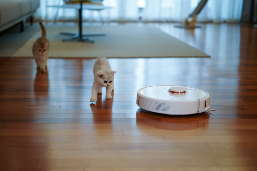 A robotic vacuum is exploring a home as two curious kittens observe. This fun activity aligns with our apartment cleaning checklist!